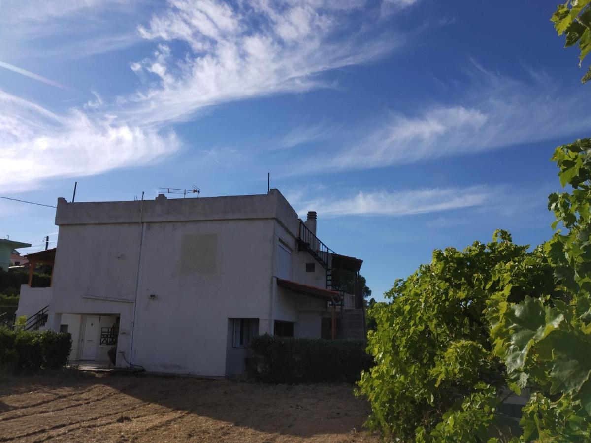 Ellina'S Home - Euboea Island Greece Oxílithos 外观 照片