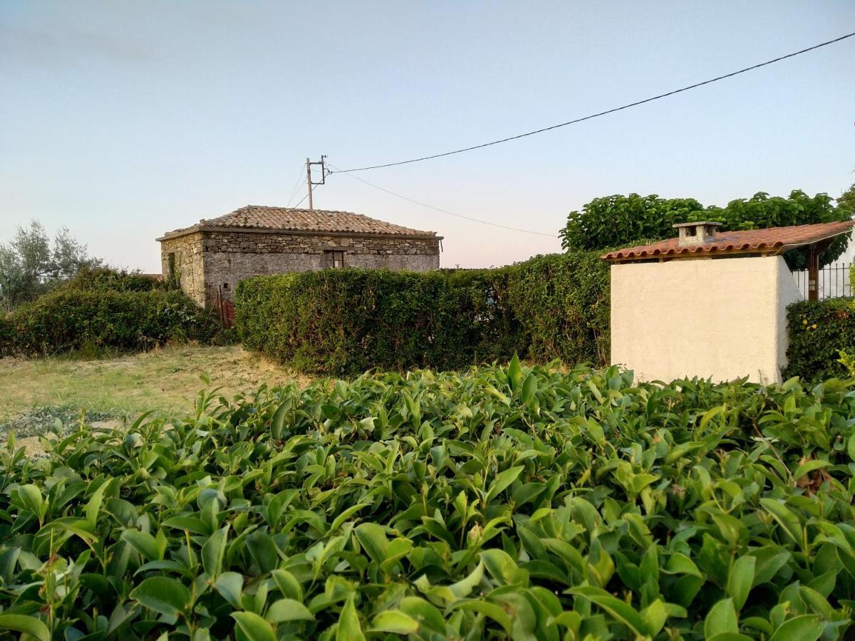 Ellina'S Home - Euboea Island Greece Oxílithos 外观 照片